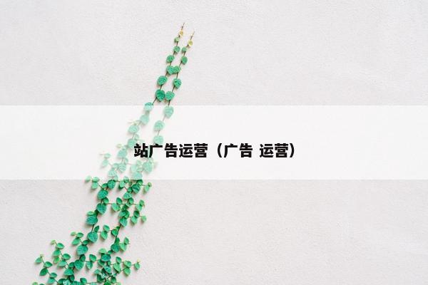 站广告运营（广告 运营）