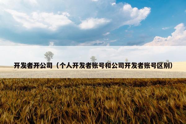 开发者开公司（个人开发者账号和公司开发者账号区别）