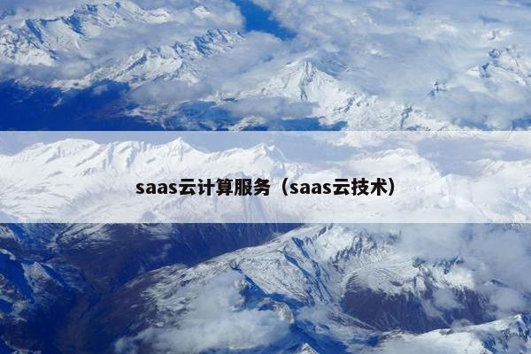 saas云计算服务（saas云技术）