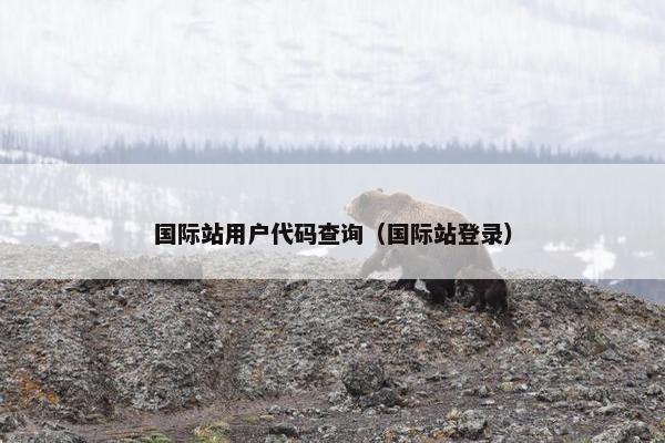国际站用户代码查询（国际站登录）