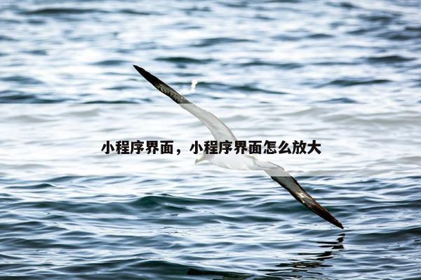 小程序界面，小程序界面怎么放大