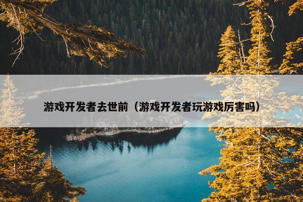 游戏开发者去世前（游戏开发者玩游戏厉害吗）