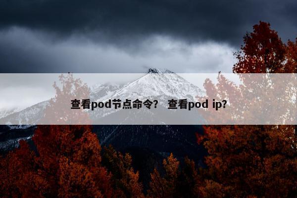 查看pod节点命令？ 查看pod ip？