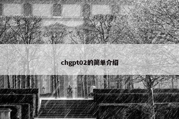 chgpt02的简单介绍