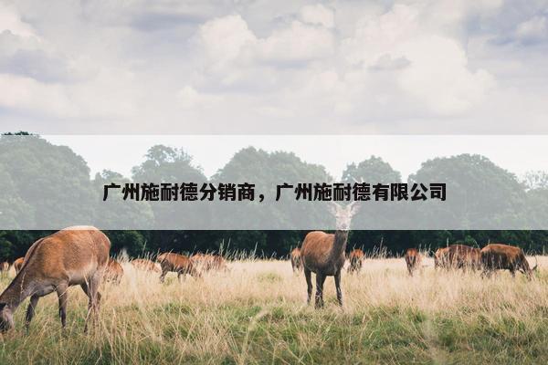 广州施耐德分销商，广州施耐德有限公司