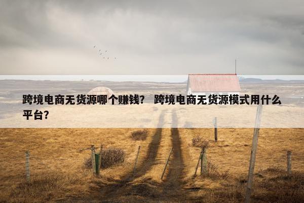 跨境电商无货源哪个赚钱？ 跨境电商无货源模式用什么平台？