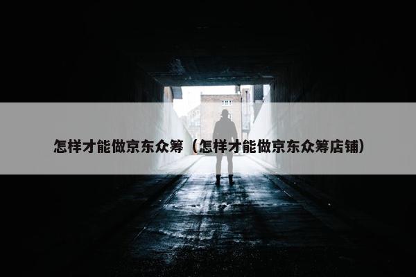怎样才能做京东众筹（怎样才能做京东众筹店铺）