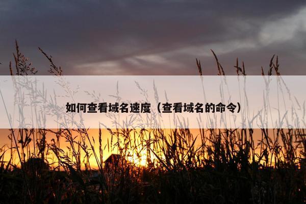 如何查看域名速度（查看域名的命令）