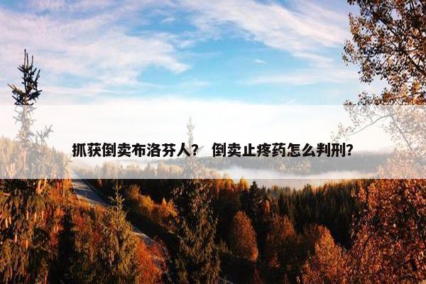 抓获倒卖布洛芬人？ 倒卖止疼药怎么判刑？