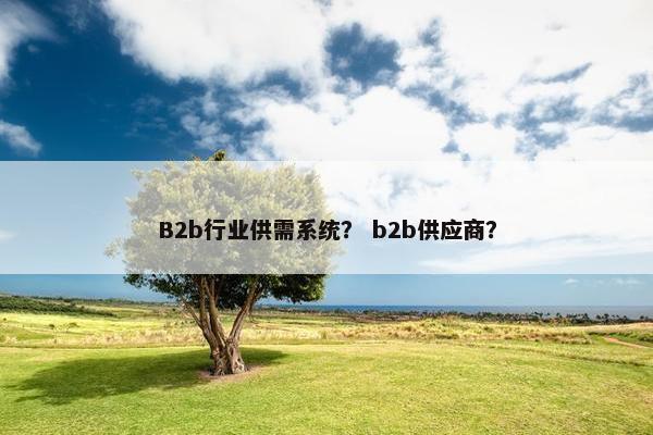 B2b行业供需系统？ b2b供应商？