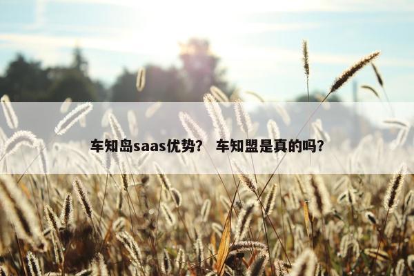 车知岛saas优势？ 车知盟是真的吗？