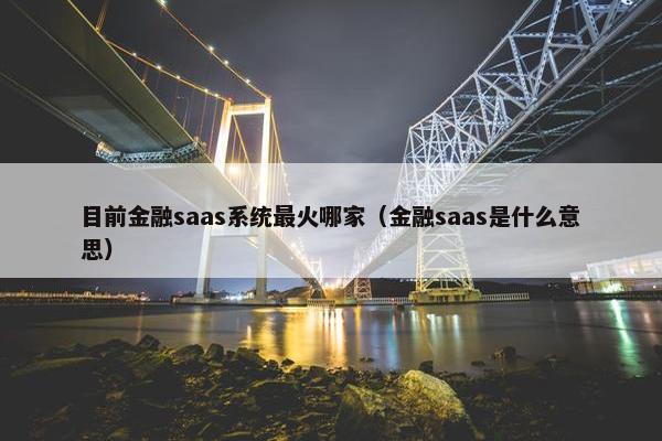 目前金融saas系统最火哪家（金融saas是什么意思）