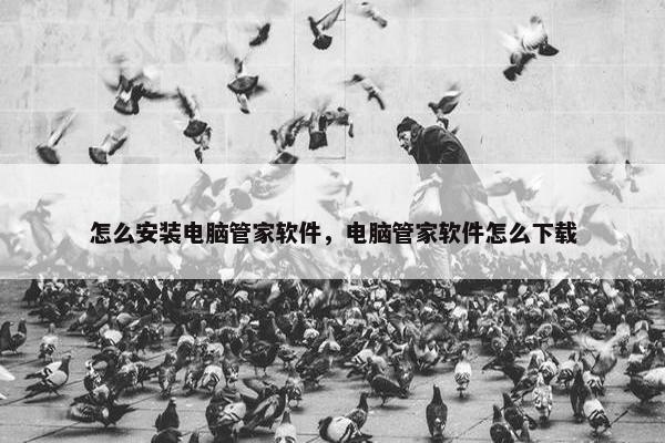 怎么安装电脑管家软件，电脑管家软件怎么下载