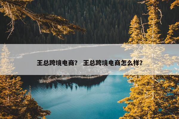 王总跨境电商？ 王总跨境电商怎么样？