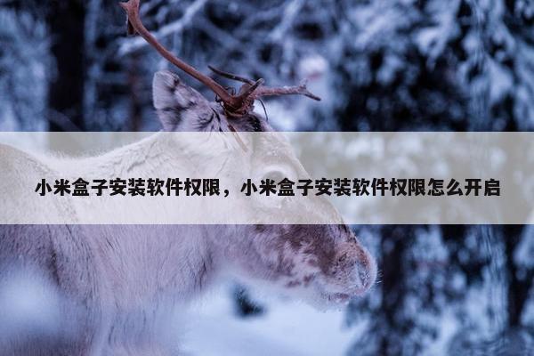 小米盒子安装软件权限，小米盒子安装软件权限怎么开启