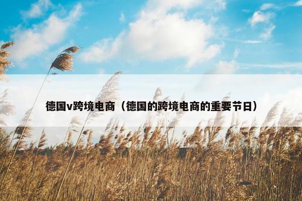 德国v跨境电商（德国的跨境电商的重要节日）