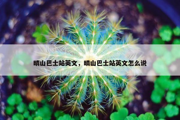 晴山巴士站英文，晴山巴士站英文怎么说