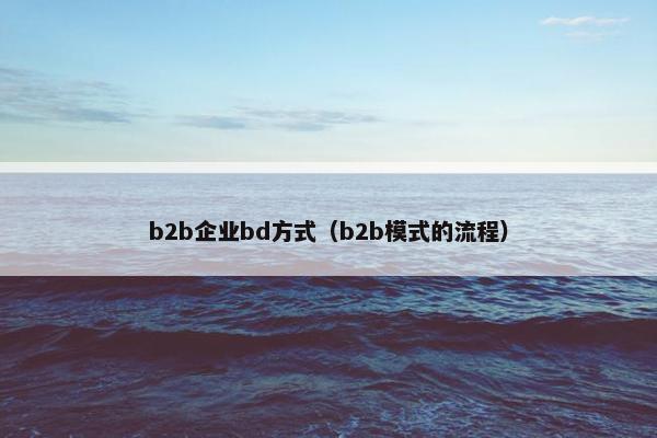 b2b企业bd方式（b2b模式的流程）