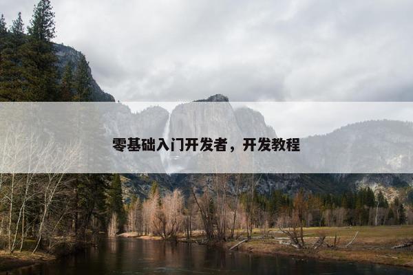 零基础入门开发者，开发教程