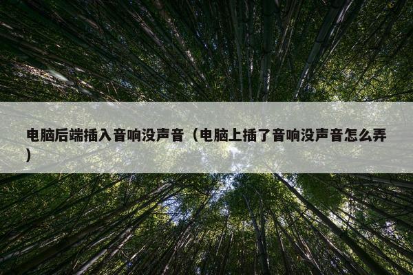 电脑后端插入音响没声音（电脑上插了音响没声音怎么弄）