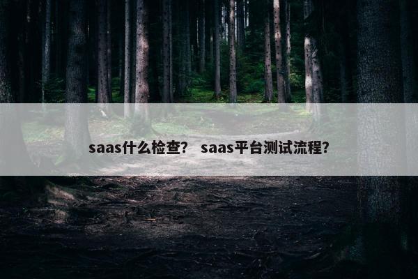 saas什么检查？ saas平台测试流程？