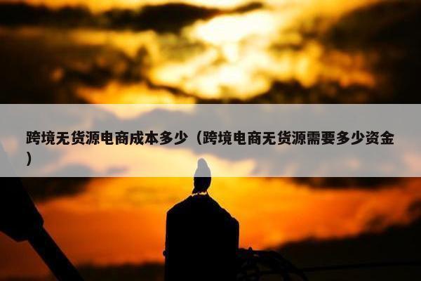跨境无货源电商成本多少（跨境电商无货源需要多少资金）