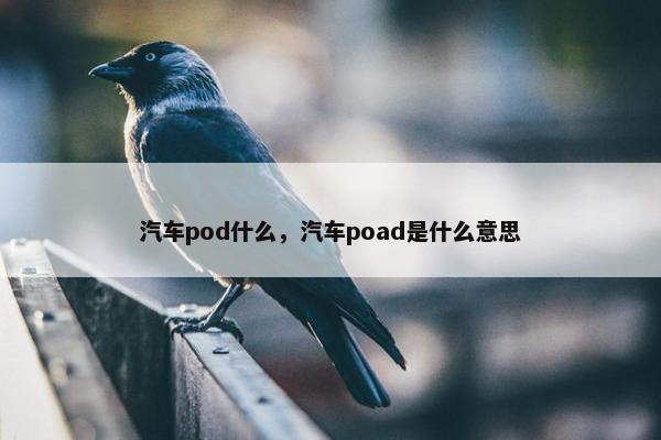 汽车pod什么，汽车poad是什么意思