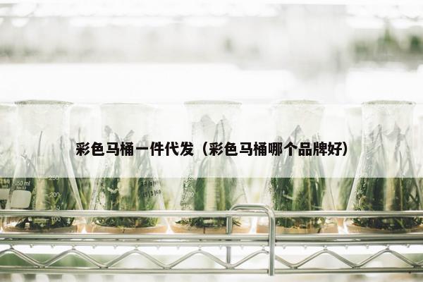 彩色马桶一件代发（彩色马桶哪个品牌好）