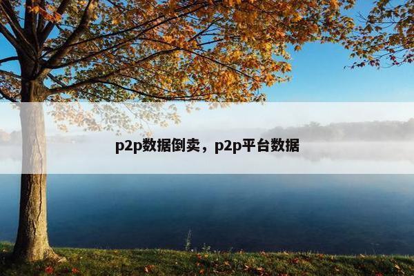 p2p数据倒卖，p2p平台数据