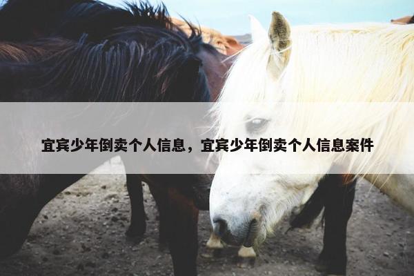 宜宾少年倒卖个人信息，宜宾少年倒卖个人信息案件