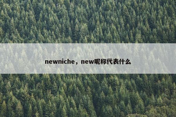 newniche，new昵称代表什么