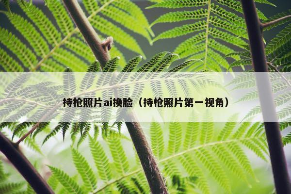 持枪照片ai换脸（持枪照片第一视角）