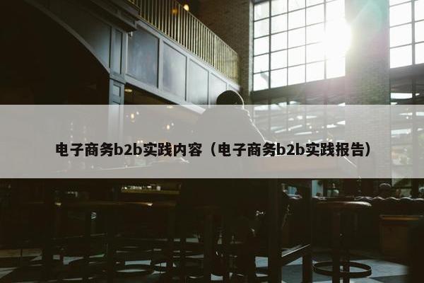 电子商务b2b实践内容（电子商务b2b实践报告）