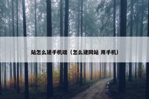 站怎么建手机端（怎么建网站 用手机）