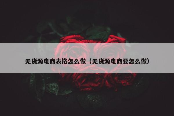 无货源电商表格怎么做（无货源电商要怎么做）
