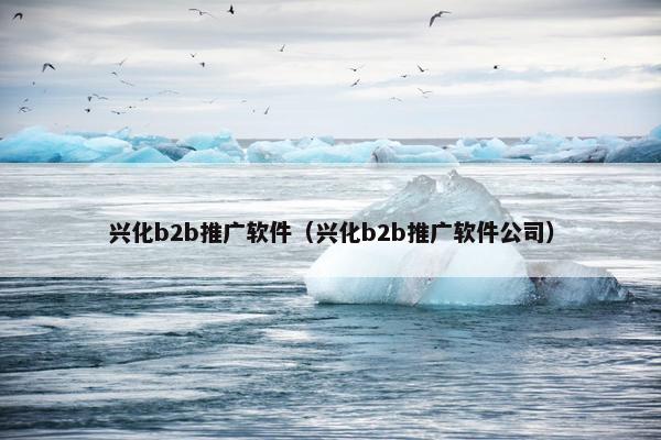 兴化b2b推广软件（兴化b2b推广软件公司）