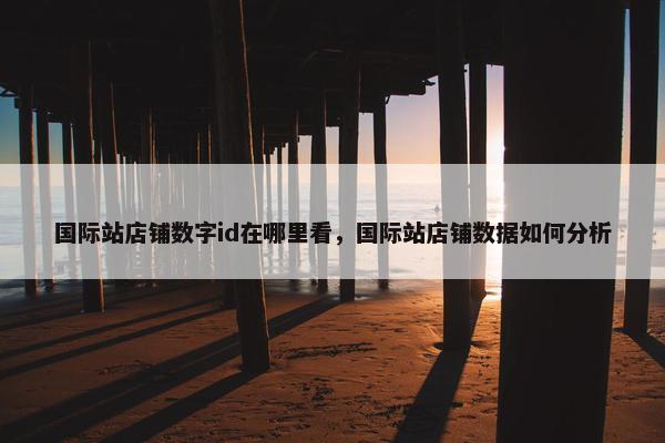国际站店铺数字id在哪里看，国际站店铺数据如何分析