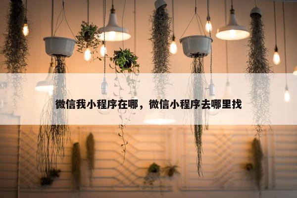 微信我小程序在哪，微信小程序去哪里找