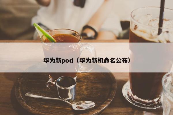 华为新pod（华为新机命名公布）