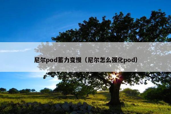 尼尔pod蓄力变慢（尼尔怎么强化pod）