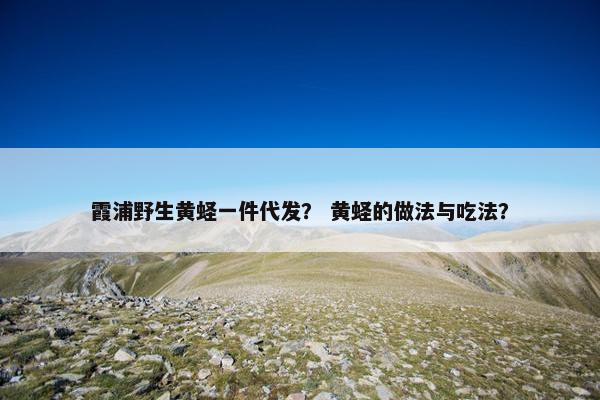 霞浦野生黄蛏一件代发？ 黄蛏的做法与吃法？