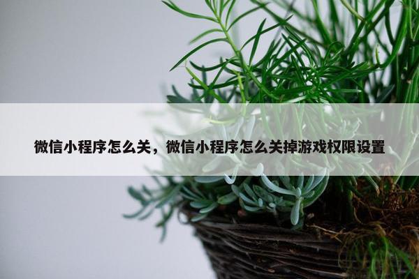 微信小程序怎么关，微信小程序怎么关掉游戏权限设置
