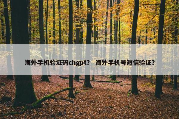 海外手机验证码chgpt？ 海外手机号短信验证？