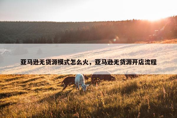 亚马逊无货源模式怎么火，亚马逊无货源开店流程