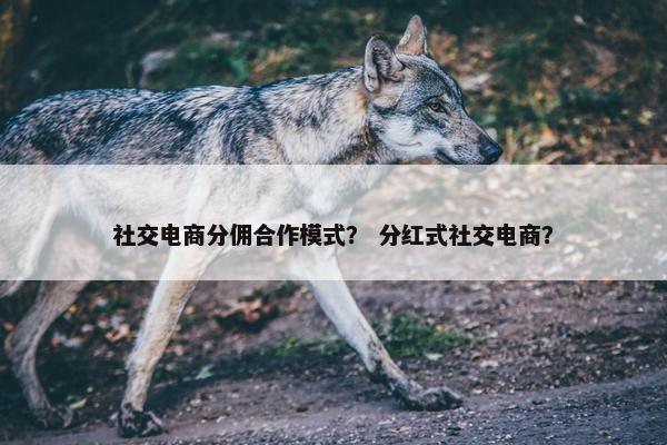 社交电商分佣合作模式？ 分红式社交电商？