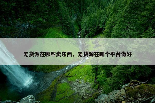 无货源在哪些卖东西，无货源在哪个平台做好