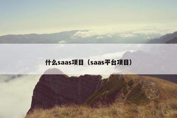 什么saas项目（saas平台项目）