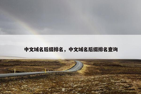 中文域名后缀排名，中文域名后缀排名查询