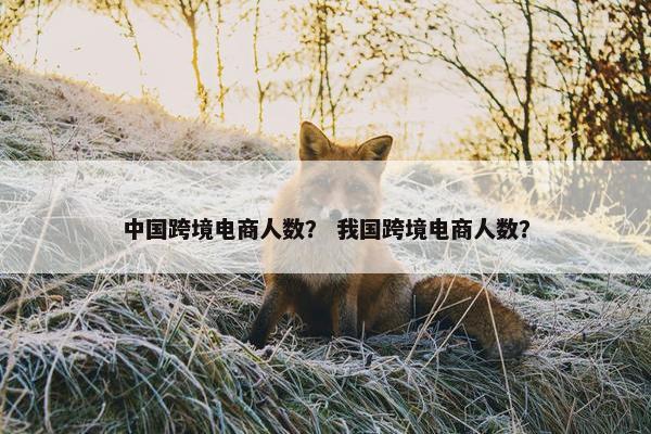 中国跨境电商人数？ 我国跨境电商人数？