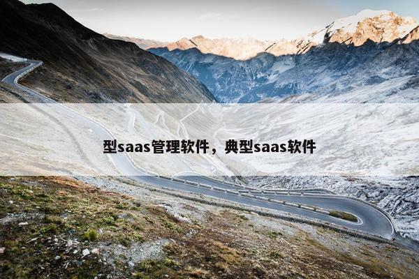 型saas管理软件，典型saas软件